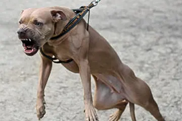 NJ Truck Accident Lawyer