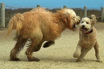 Truck Accident Attorneys NJ